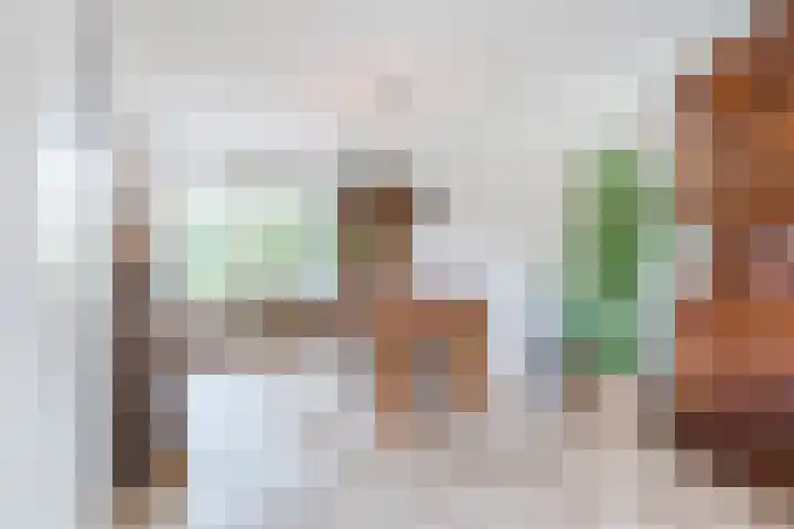 Wildzoom 1 Barneveld thumbnail 10