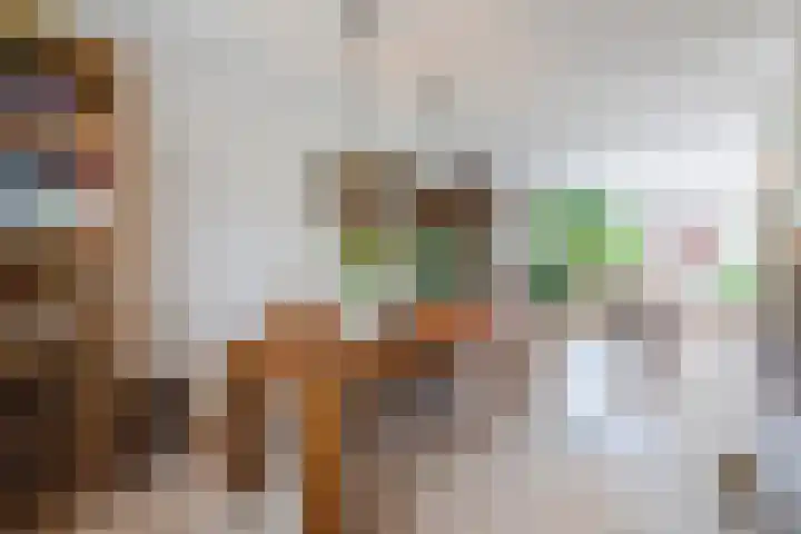 Wildzoom 1 Barneveld thumbnail 11