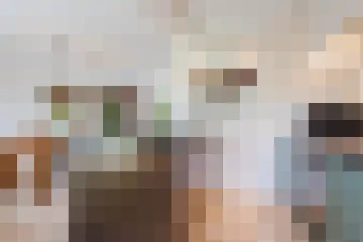 Wildzoom 1 Barneveld thumbnail 15