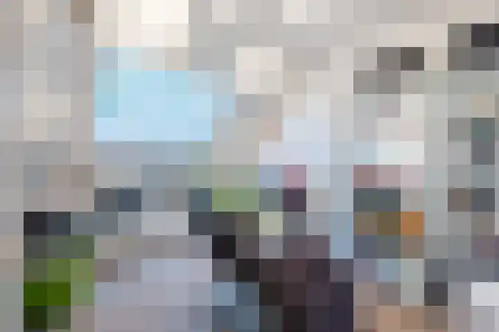 Wildzoom 1 Barneveld thumbnail 26
