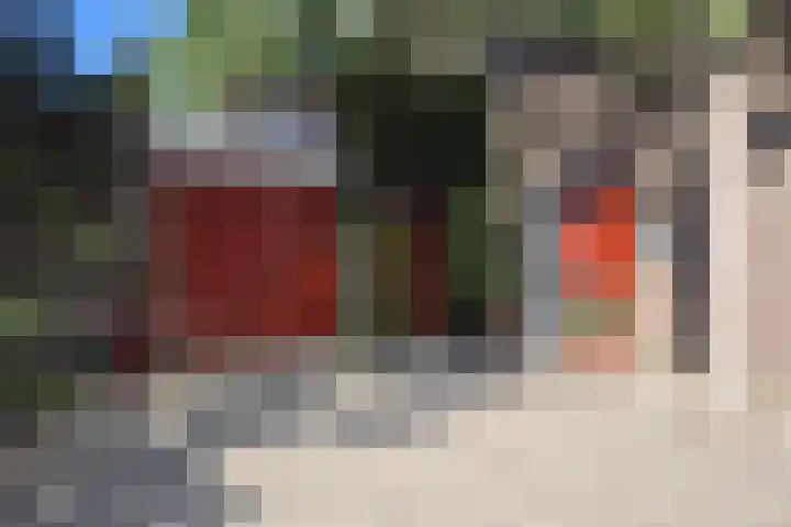Wildzoom 1 Barneveld thumbnail 36