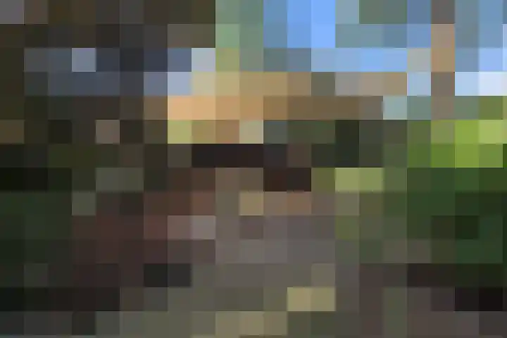 Wildzoom 1 Barneveld thumbnail 39