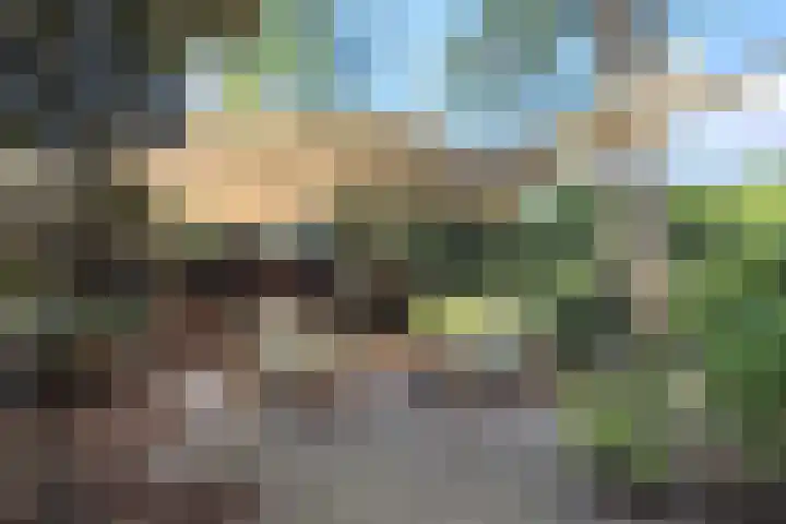 Wildzoom 1 Barneveld thumbnail 4