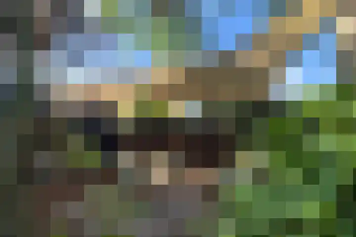 Wildzoom 1 Barneveld thumbnail 40