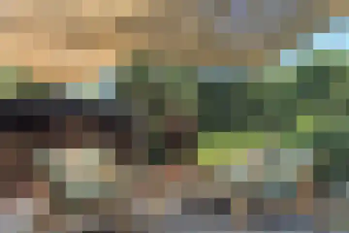 Wildzoom 1 Barneveld thumbnail 41