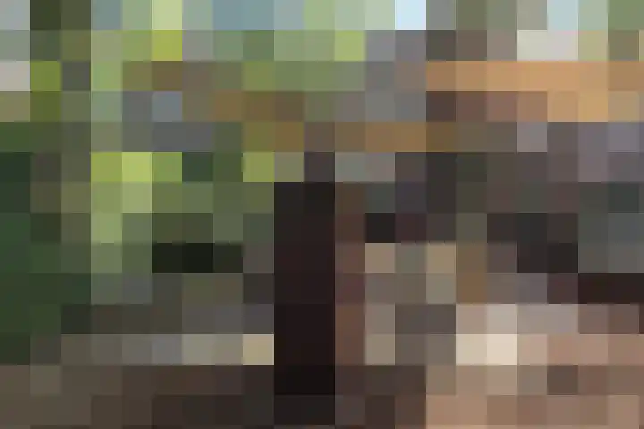 Wildzoom 1 Barneveld thumbnail 43