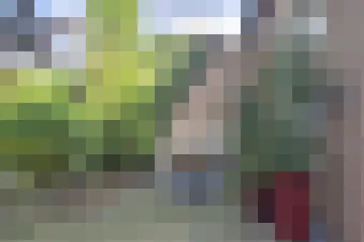 Wildzoom 1 Barneveld thumbnail 46