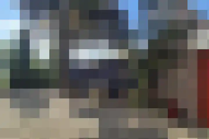 Wildzoom 1 Barneveld thumbnail 49