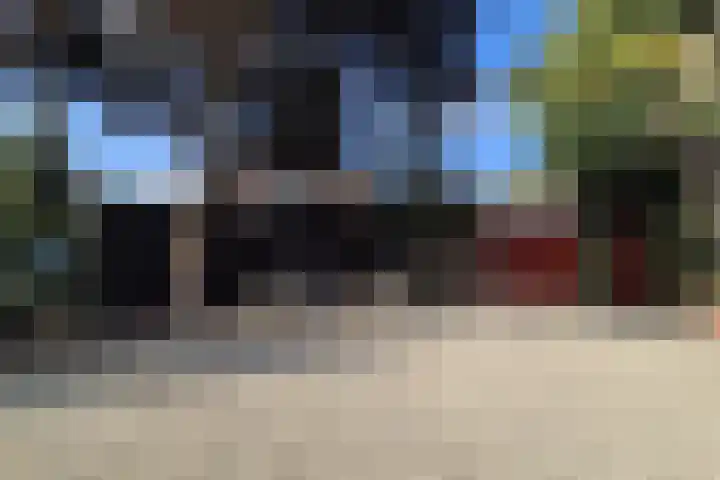 Wildzoom 1 Barneveld thumbnail 50