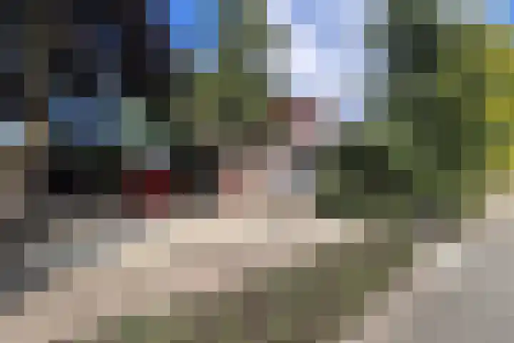 Wildzoom 1 Barneveld thumbnail 51