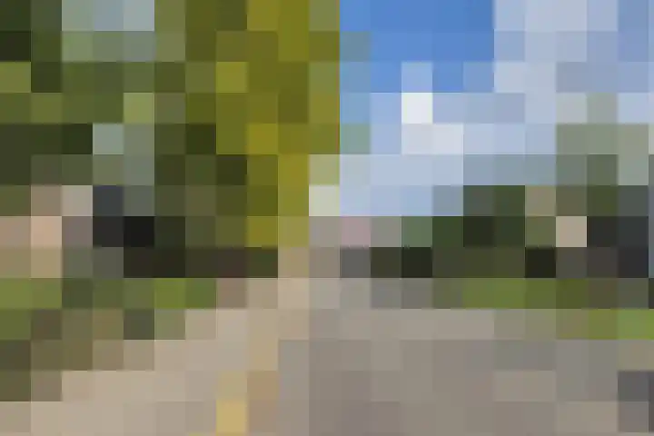 Wildzoom 1 Barneveld thumbnail 53