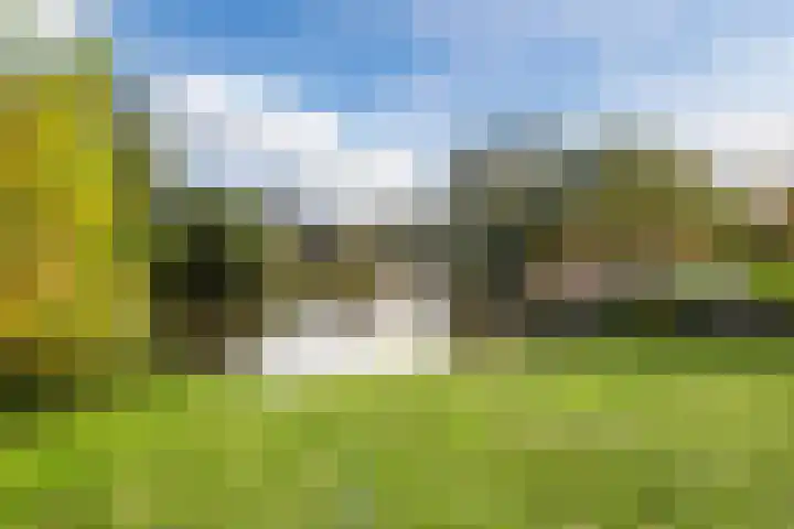 Wildzoom 1 Barneveld thumbnail 54