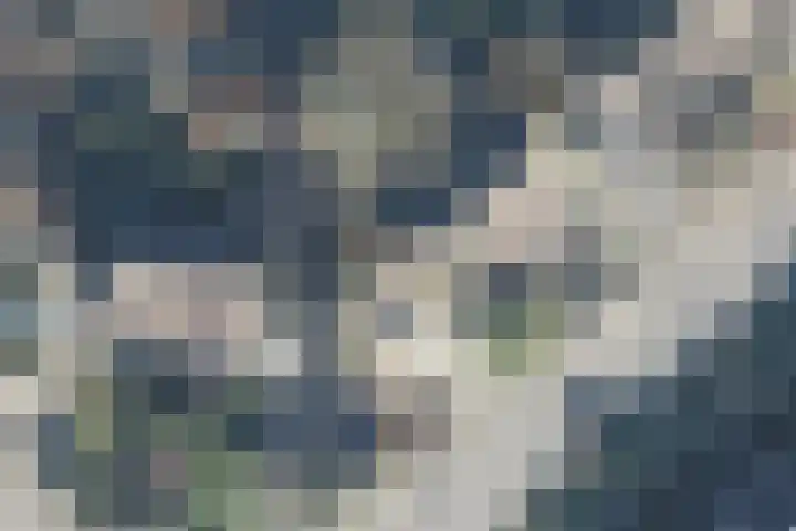 Wildzoom 1 Barneveld thumbnail 59