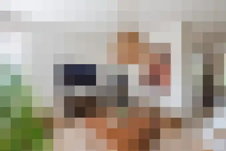 Wildzoom 1 Barneveld thumbnail 8