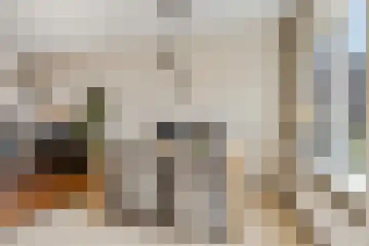 Wildzoom 107 Barneveld thumbnail 16