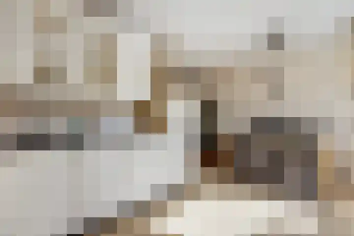 Wildzoom 107 Barneveld thumbnail 17