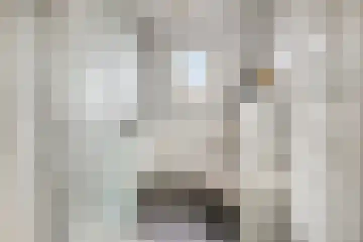 Wildzoom 107 Barneveld thumbnail 29