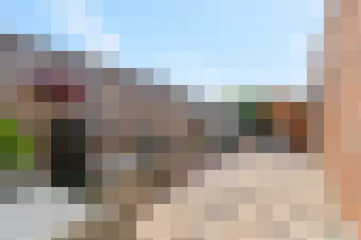 Wildzoom 107 Barneveld thumbnail 33