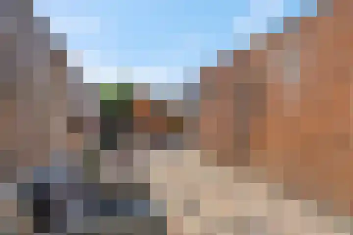 Wildzoom 107 Barneveld thumbnail 34