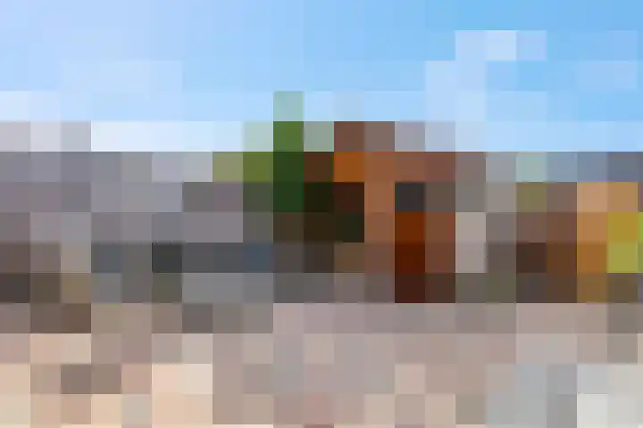 Wildzoom 107 Barneveld thumbnail 35