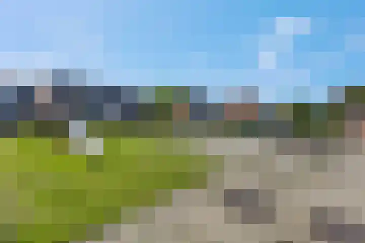 Wildzoom 107 Barneveld thumbnail 38