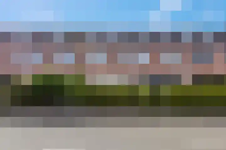 Wildzoom 107 Barneveld thumbnail 5