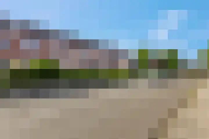 Wildzoom 107 Barneveld thumbnail 8