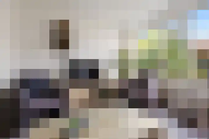 Wildzoom 115 Barneveld thumbnail 10