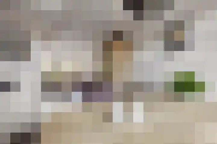 Wildzoom 115 Barneveld thumbnail 12
