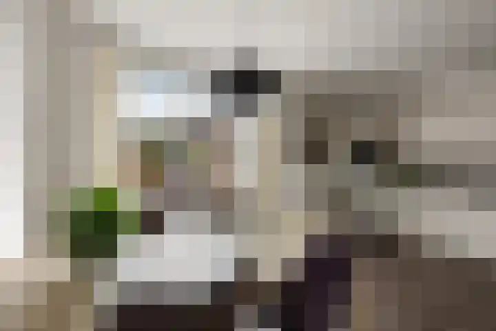 Wildzoom 115 Barneveld thumbnail 13