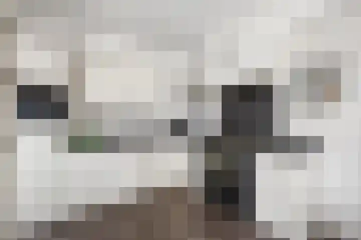 Wildzoom 115 Barneveld thumbnail 14