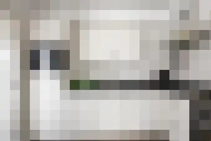 Wildzoom 115 Barneveld thumbnail 16