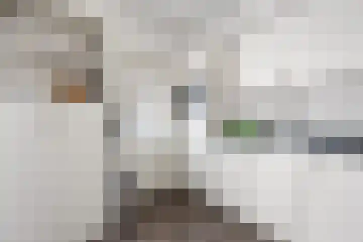 Wildzoom 115 Barneveld thumbnail 17