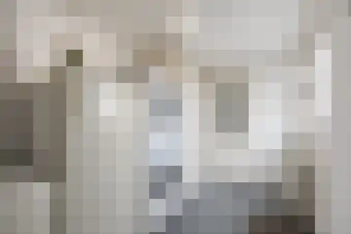 Wildzoom 115 Barneveld thumbnail 19