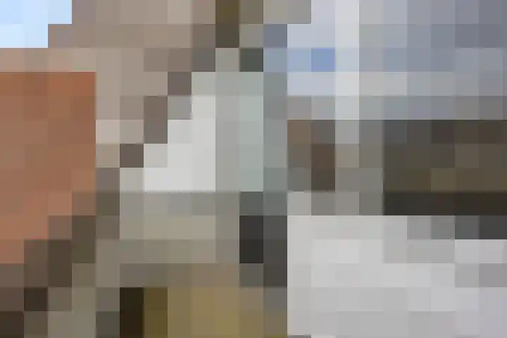 Wildzoom 115 Barneveld thumbnail 23