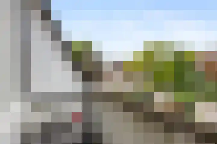 Wildzoom 115 Barneveld thumbnail 24