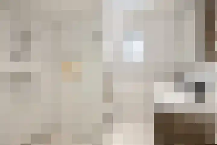 Wildzoom 115 Barneveld thumbnail 27
