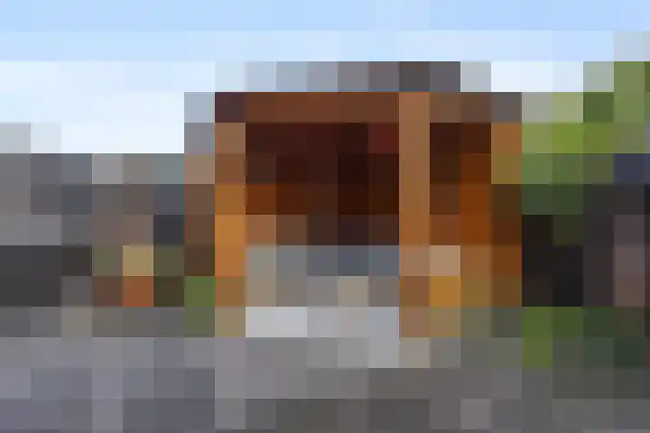 Wildzoom 115 Barneveld thumbnail 38