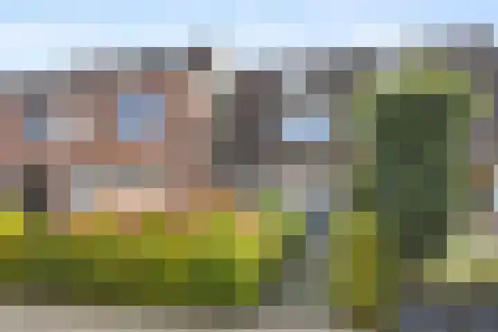Wildzoom 115 Barneveld thumbnail 4