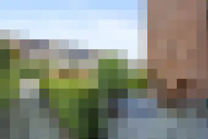 Wildzoom 115 Barneveld thumbnail 41