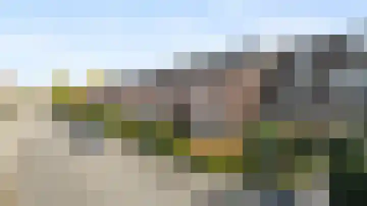 Wildzoom 115 Barneveld thumbnail 42