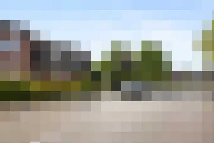 Wildzoom 115 Barneveld thumbnail 43