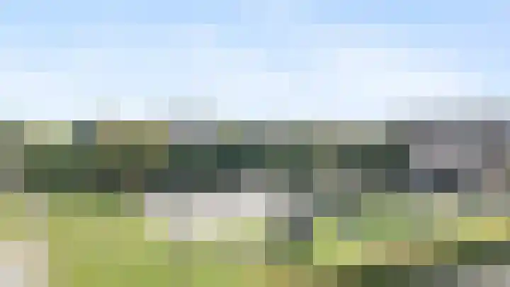 Wildzoom 115 Barneveld thumbnail 44