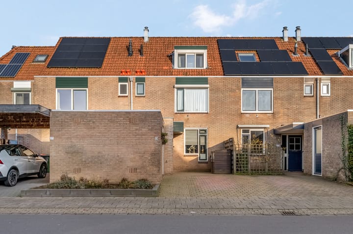 Wildzoom 19 in Barneveld Foto