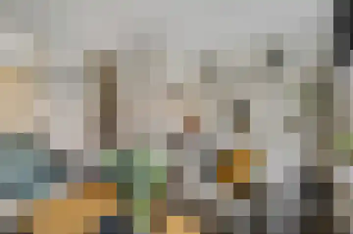 Wildzoom 19 Barneveld thumbnail 11