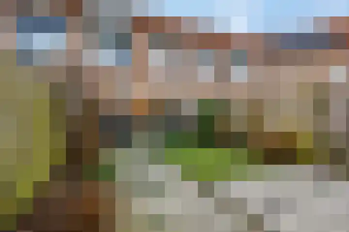 Wildzoom 19 Barneveld thumbnail 4