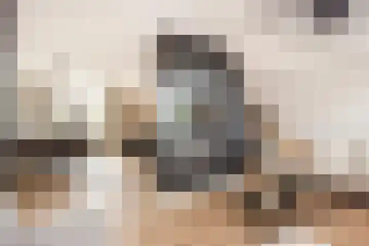 Wildzoom 27 Barneveld thumbnail 10