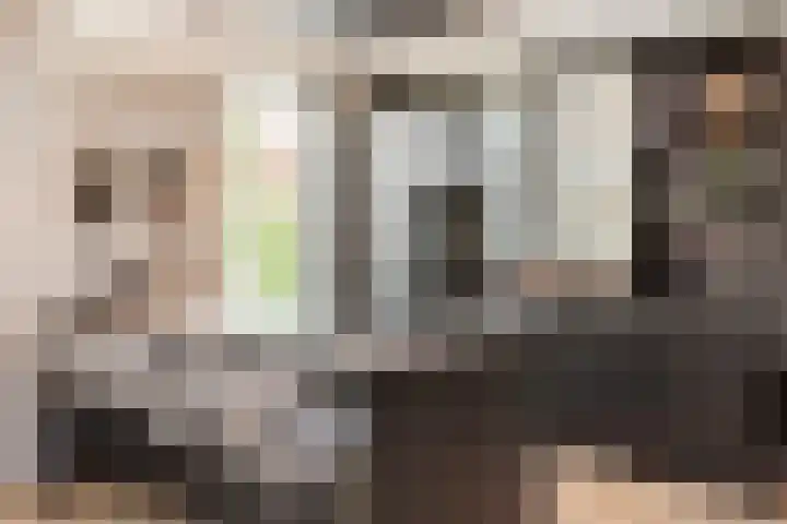 Wildzoom 27 Barneveld thumbnail 13