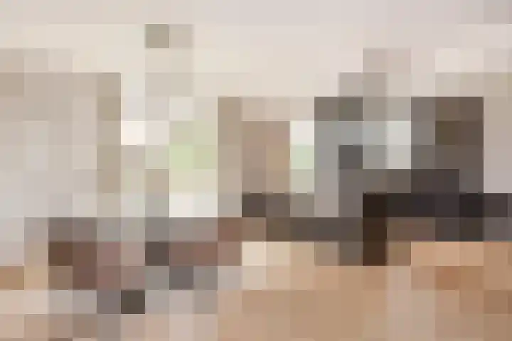Wildzoom 27 Barneveld thumbnail 14