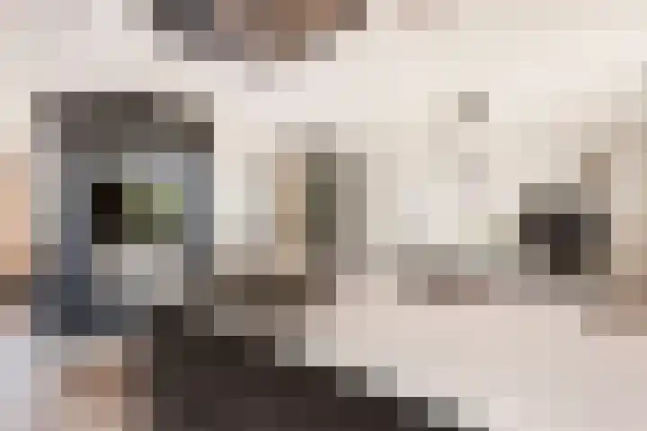 Wildzoom 27 Barneveld thumbnail 20